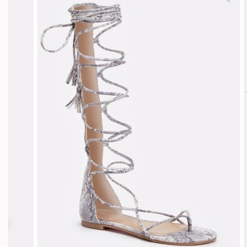 SNAKESKIN GLADIATORS